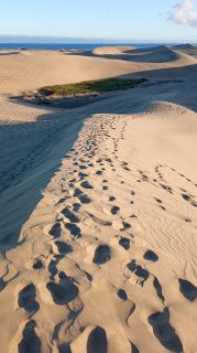GC-Dunas de Maspalomas sunset 2026-088.jpg